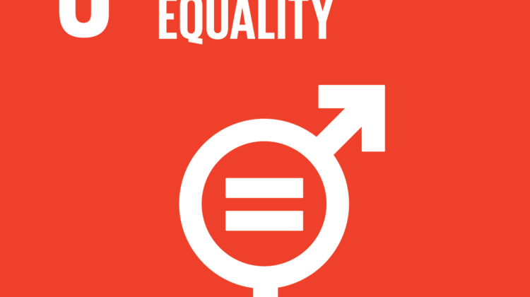 SDG5 gender equality