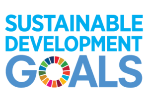 SDGs implementation to business strategy