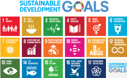 sustainability 17 SDGs