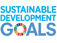 SDGs implementation to business strategy